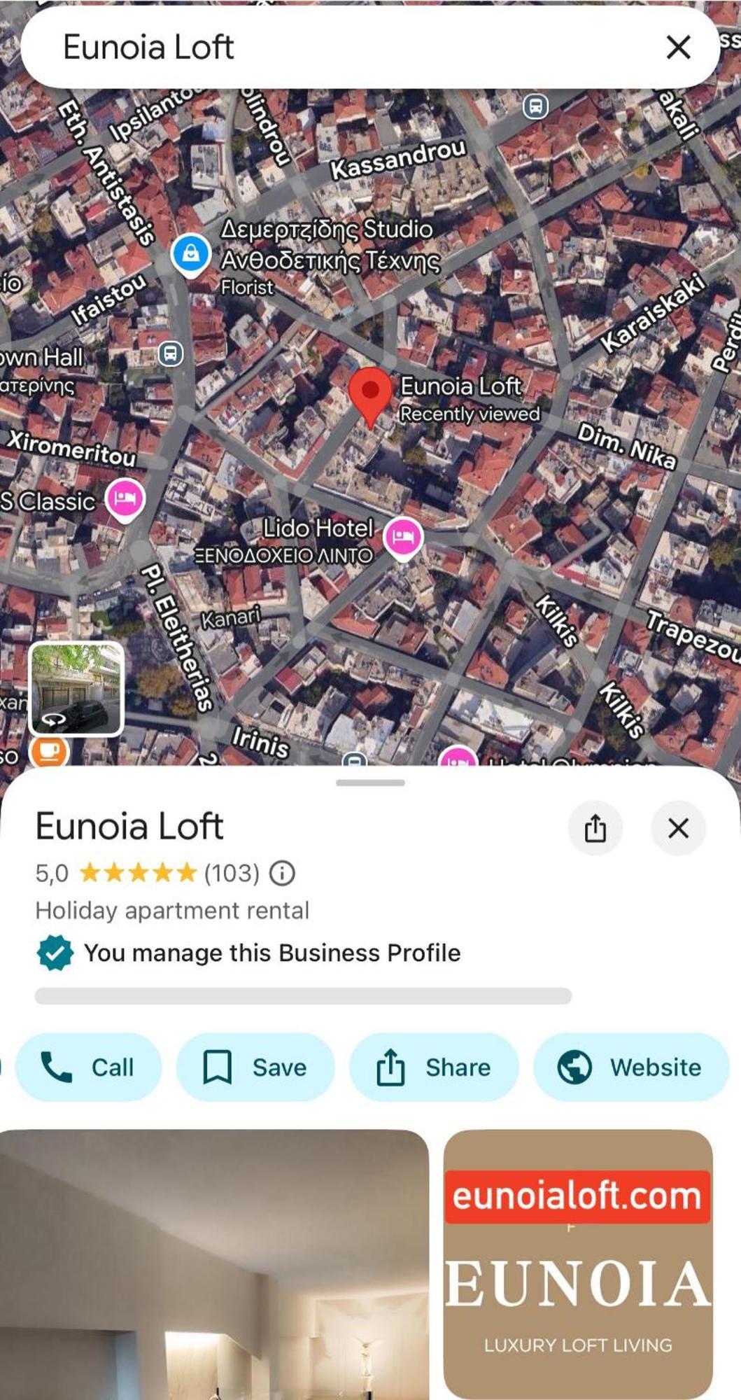 Apartment Eunoia Luxury Loft *